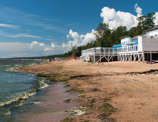 Отдых в Комарово: Оазис спокойствия на берегу Балтийского моря