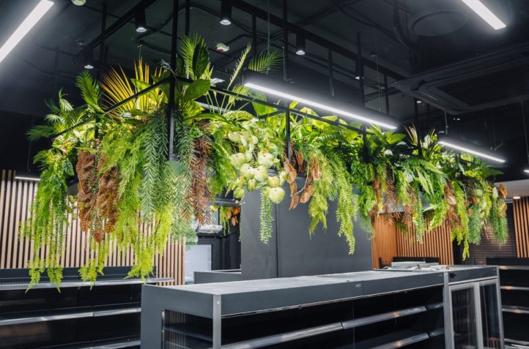 Озеленение и флористическое оформление для дома и бизнеса: живые решения вместо безликих интерьеров