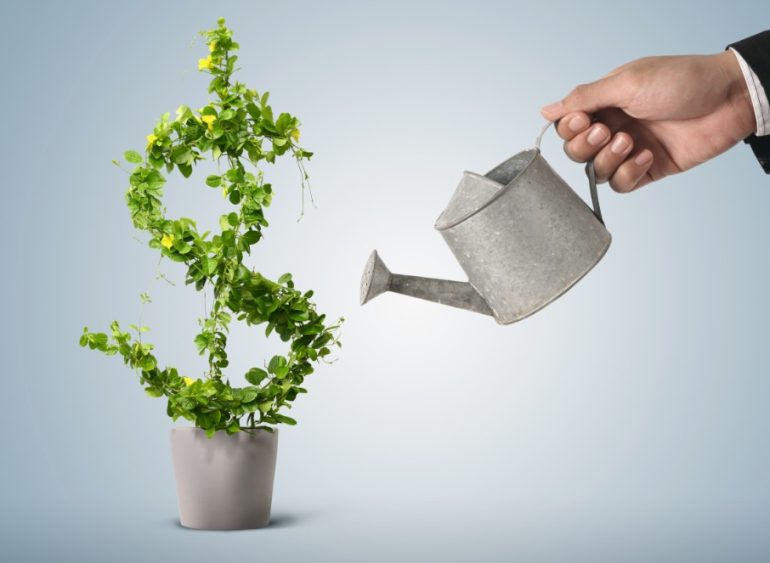 Как инвестировать в стартапы без миллионов и опыта